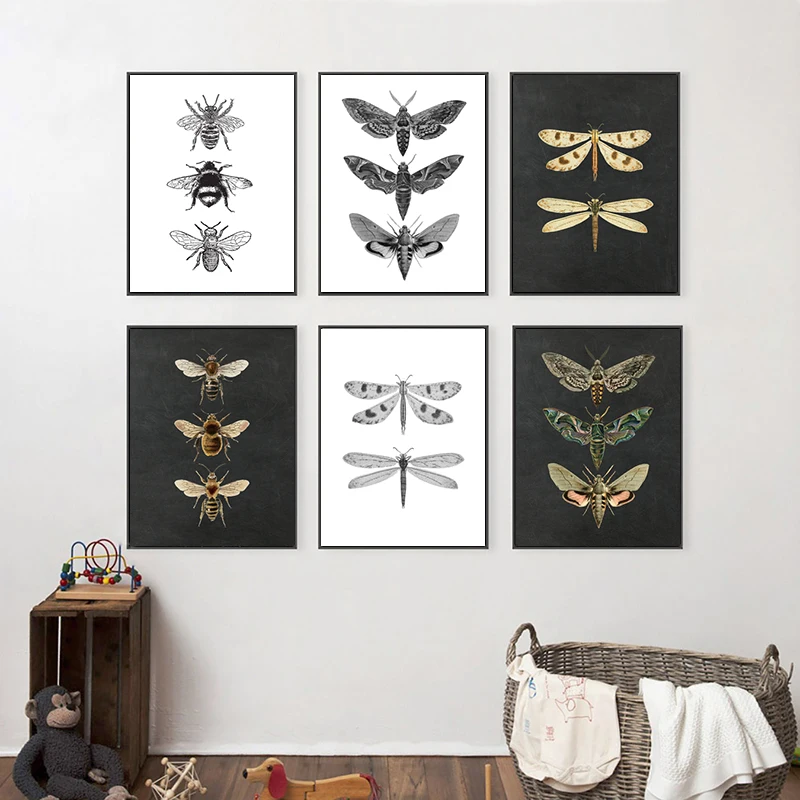 Moth Nature Insect Prints Vintage plagát Domáca stena dekorácie, zvierat vzdelávacie obrazy maľba maľba detská izba Art dekorácie