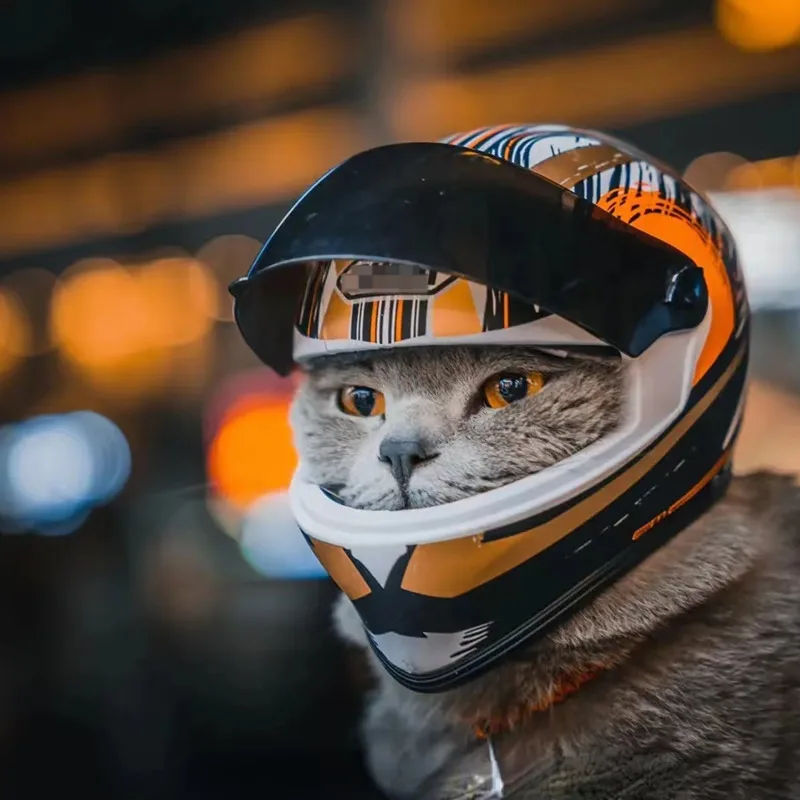 Motocyklová prilba pre domáce zvieratá, motocyklová prilba s plnou tvárou vonkajšia motocykla na bicykli Klobúk pri prilbe pre mačku