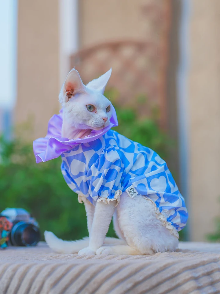 Mäkká mikina pre sphynx mačku v jarnej rolák