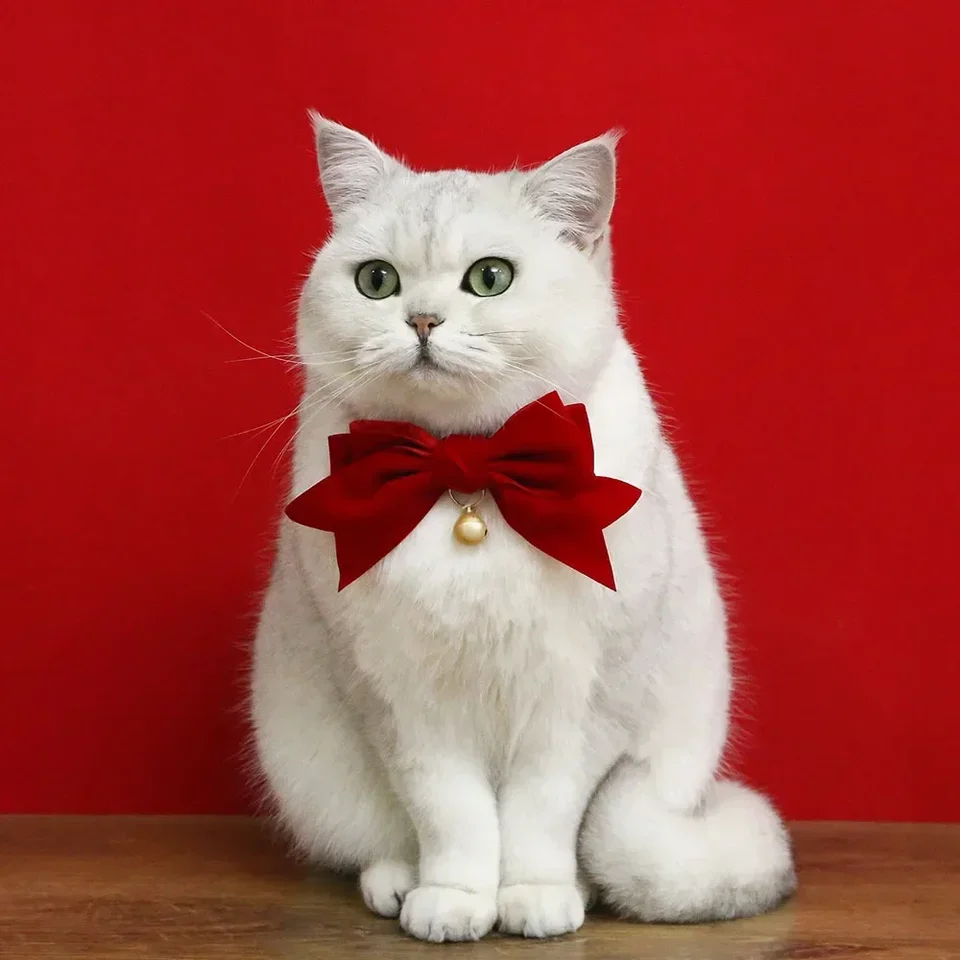 Mäkký zamatový obojok Cat Garlar Absold