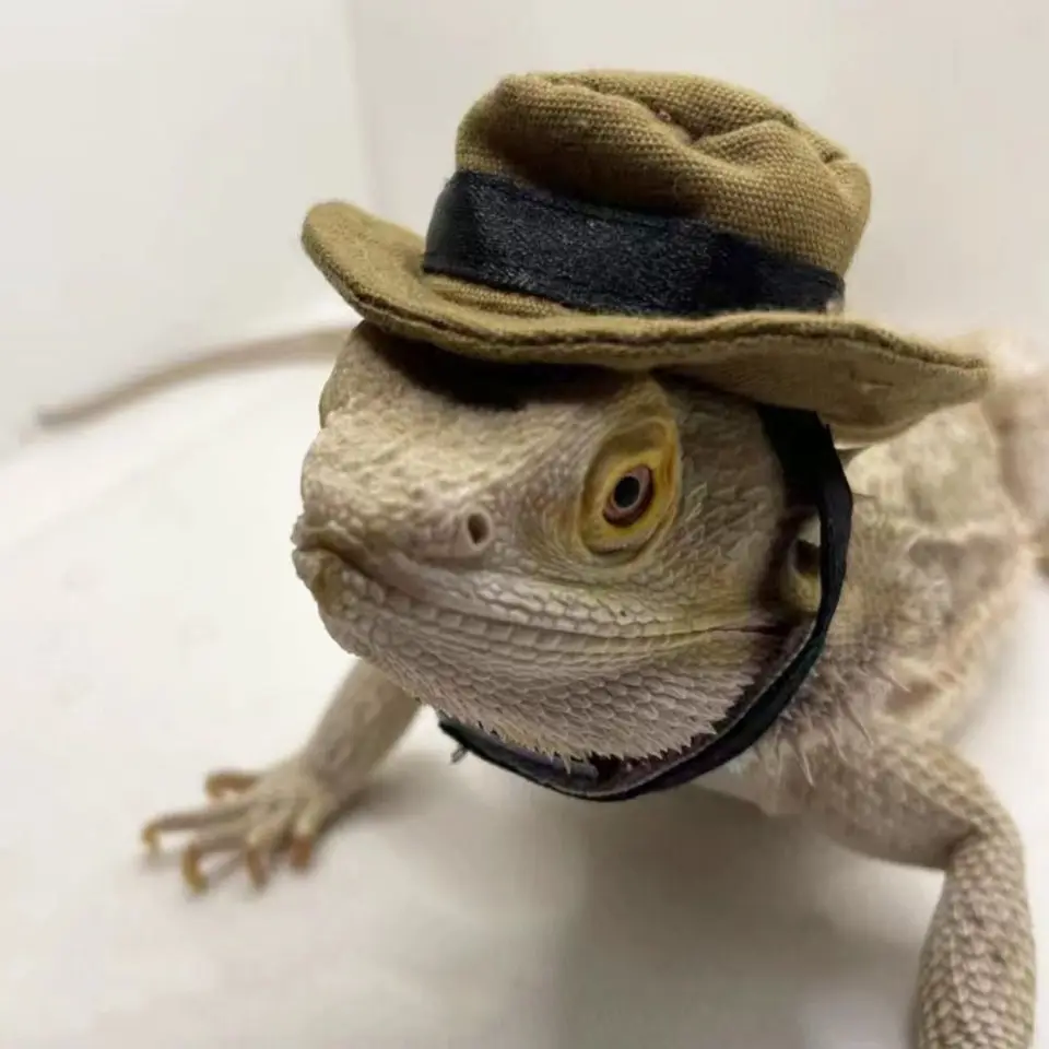 Módna dekoratívna bradatá klobúk Dragon Odnímateľná nastaviteľná plazová kovbojská klobúk Lizard Bib Lizard Hat pre jaštericu Gecko