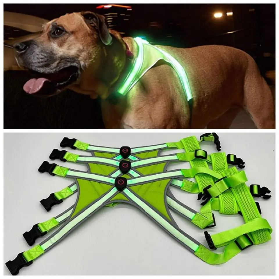Nastaviteľné LED LIGHT UP PSICK ZAMESTNANCOVANIE Nabíjateľné žiariace vesty s domácimi zväzkami Soft Night Walk Walk postroje vodítka