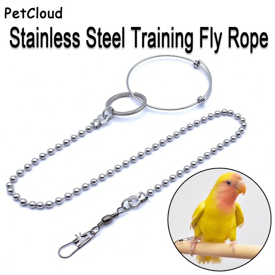 Nerezová oceľ vtáky výcvik muškára Parrot Parrot členok prsteň stojaci reťazec outdoor letu