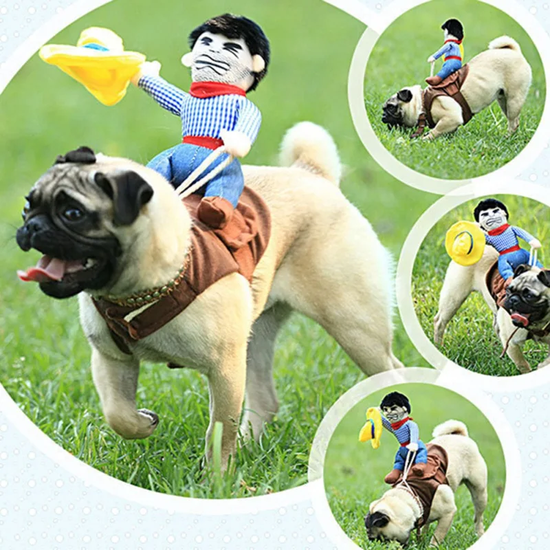 Novinka Cowboy Rider Dog Costume for Dogs oblečenie Halloween Party Pet kostým Nový rok oblečenie Pet Cat Clothes Chihuahua