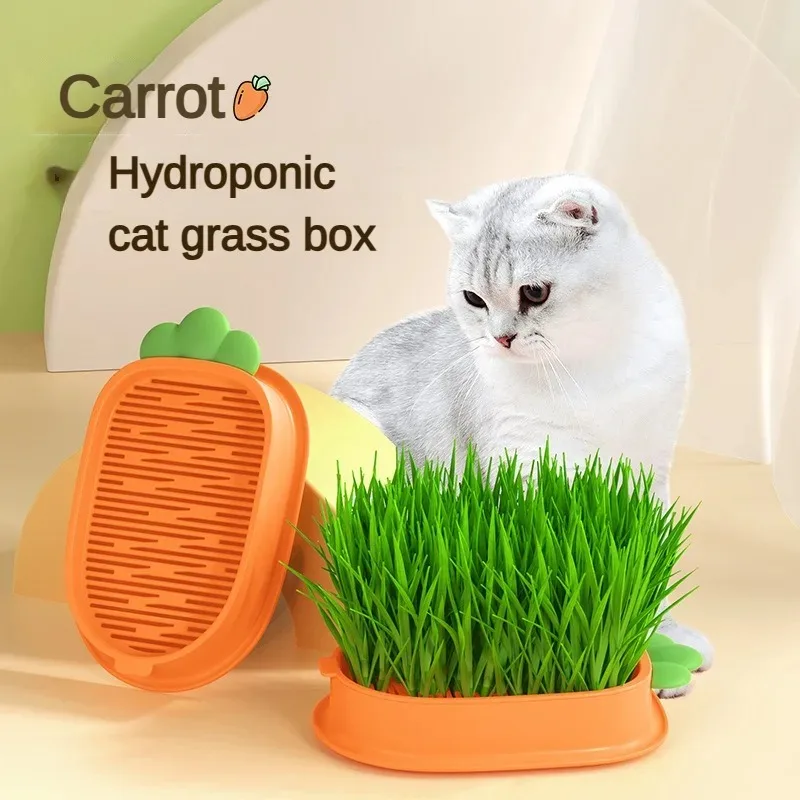 Nová pet mačka klíčko rastúca hrniec Hydroponická rastlina mačacie klíčenie trávu Trávenie Štart
