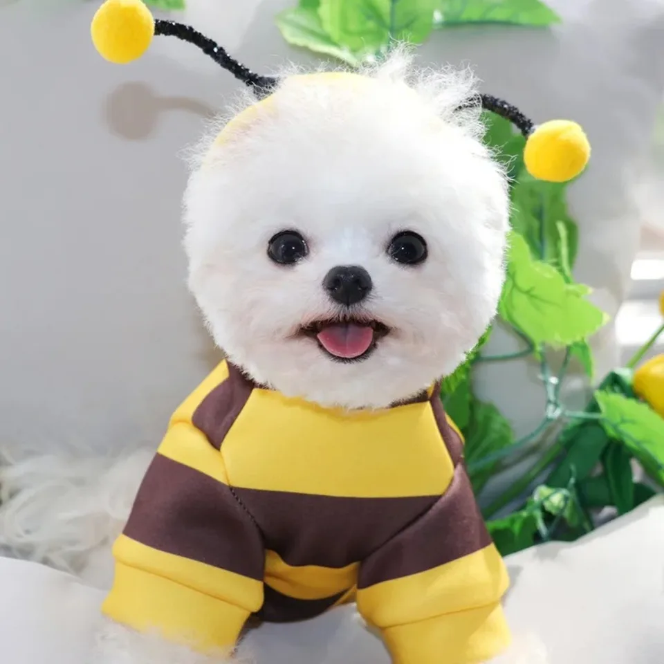 Nové oblečenie Puppy Apparel Polyester Cartoon Bee Hoodie Pet Products Halloween Cosplay kostýmy