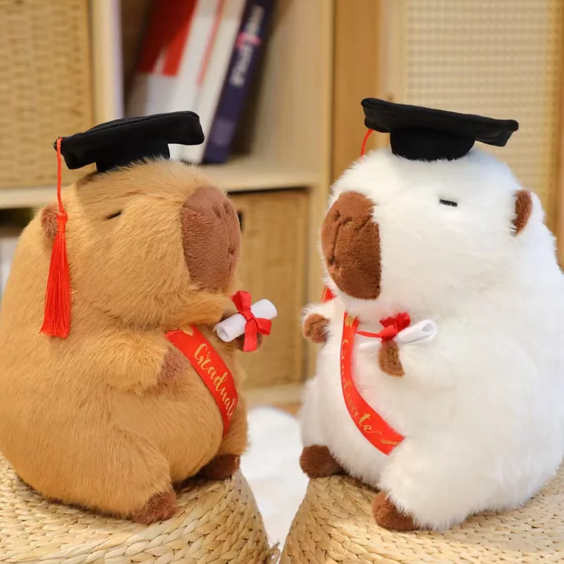 Nový absolvent plyš Plush Dolls Doctor Capybara Owl Bear plyšová hračka roztomilá chilia