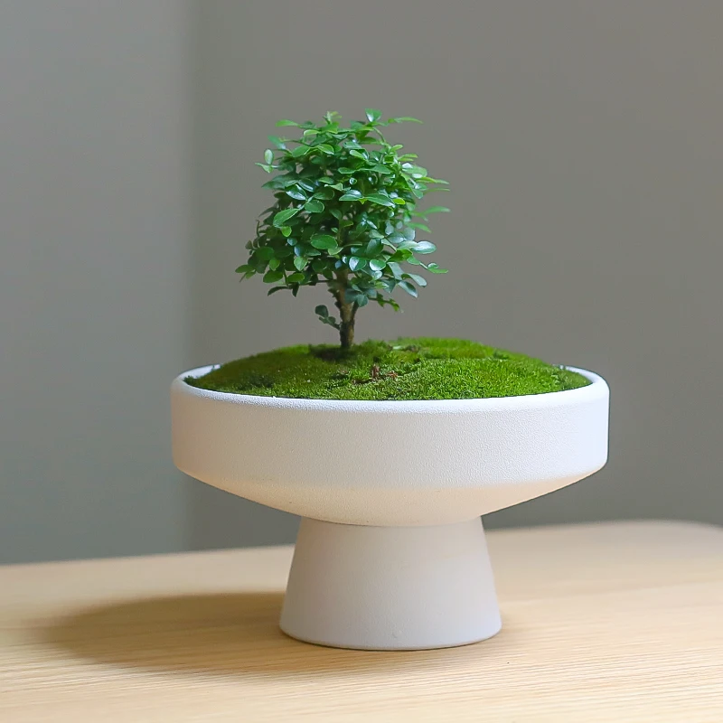 Nový trend Flowerpot, veľkoobchodná kvetinová misa, kvetinový hrniec, biely jednoduchý dekoratívny balkónový rastlinný kvetináč.