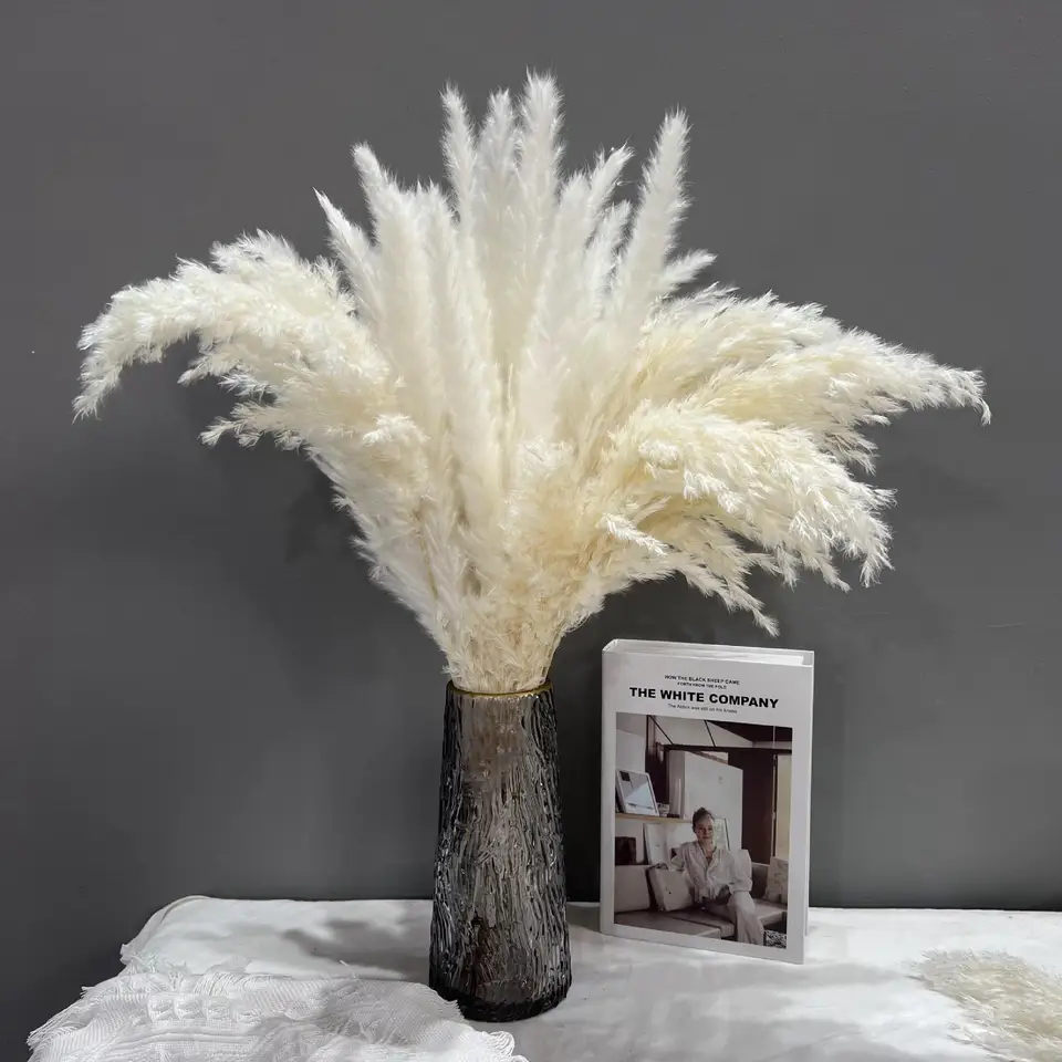 Pampas Grass Decor Cream White Fluffy Fluff
