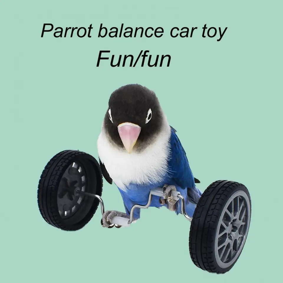 Parrot Balance Toy Rotary Wheels Bird Bicycle Mini Dvojité valčekové korčule Pet vták inteligencia inteligencia interaktívna školiaca hračka