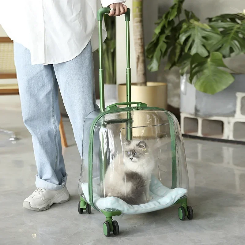 PC Material Cat Clear Space Capsule Pes Pes Pet Trolley Puzdro prenosný batoh veľkej kapacity mačací ťah