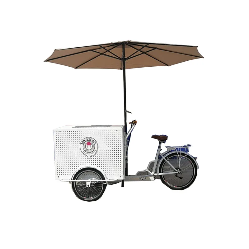 Pedálová elektrická trojkolka Rýchle mobilný mobilný motocykel Bicycle Chladnička zmrzliny nákladný bicykel pre dospelých