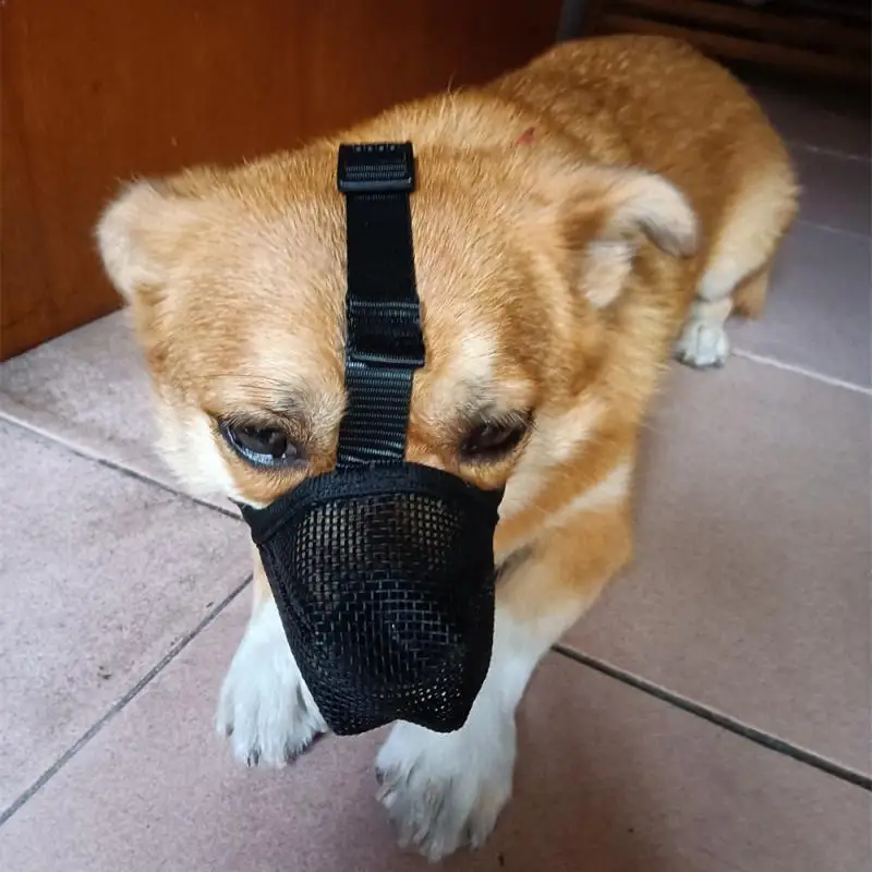 Pes Muzle zabraňuje lízaniu a hrýznutiu priedušnú masku Corgi Anti-Bite Pet Dog Supplies Pet Metle Efektívna bariéra Corgi útočisko