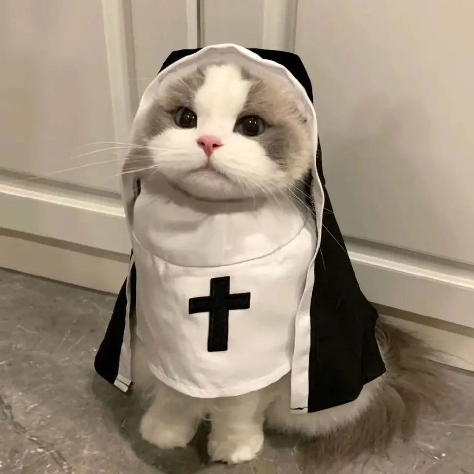 Pet Cat Halloween kostýmy mníška plášť pre malé pet cosplay šaty kawaii oblečenie mačiatko mačiatko šteňa vtipné prístupy darček