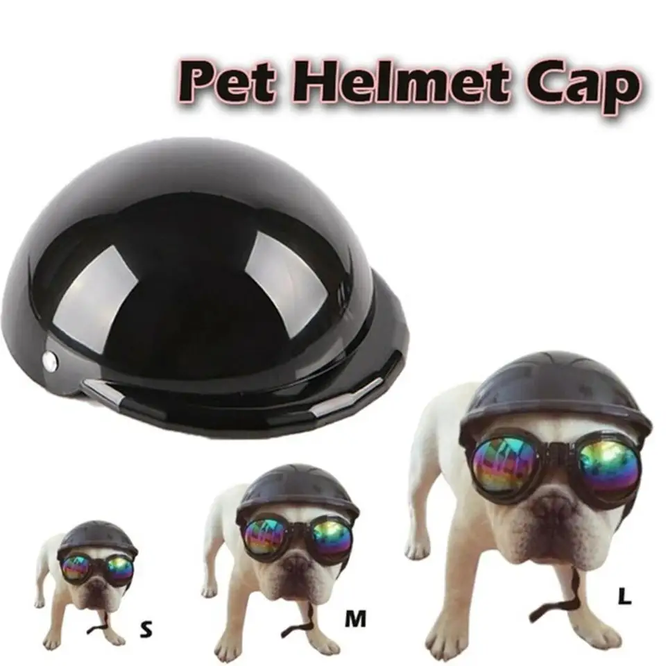 Pet Dog Hat Cat Dog Helme pre motocykle Cool módne plasty chránia bezpečnostné zbavenie čiapky