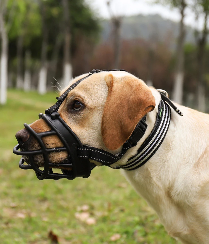 Pet Dog Reflexe papuľa priedušná, pes môže nohavice a pitie, nastaviteľné, čalúnené, výcvik pre veľkého psov pre veľkých psov, zabraňuje hryzenie