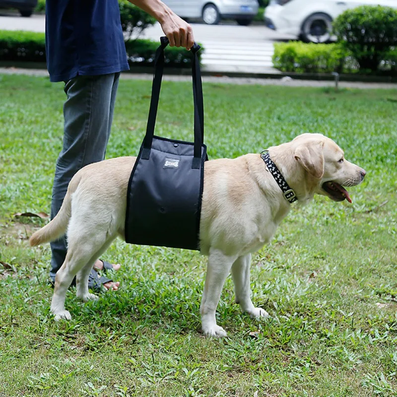 Pet Dog Zadná noha Slové pásové pásové pásové pásové podpora podpory postroja bezpečnosť Care Rehabilitation Cvičenie Dodávky