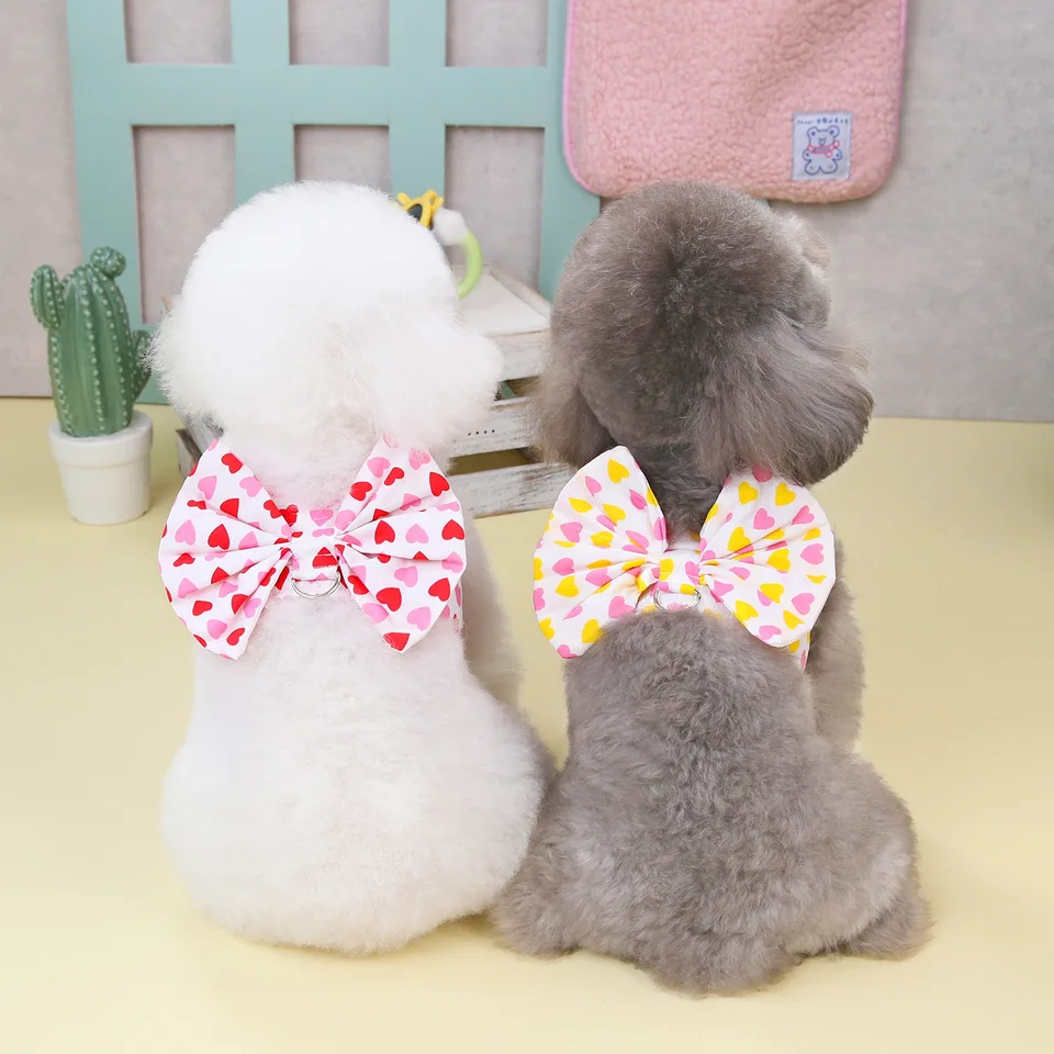Pet Love Bow Traction Lany Set Clothing Spring/letné psie oblečenie Teddy Schnauzer