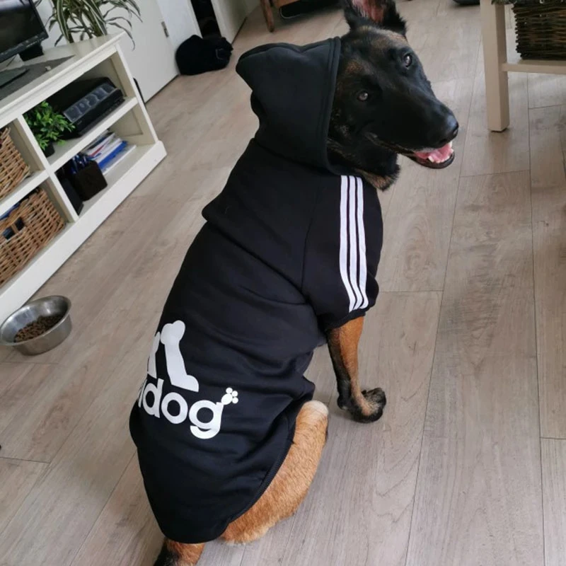 Pet pre psie oblečenie pre francúzsky buldog zlatý retriever labrador jesenná zima zima veľké psie oblečenie sveter veľkú psú kapucňu bundu