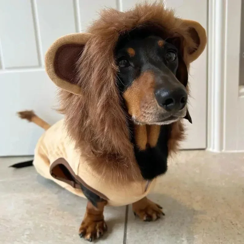 Pet pre psie oblečenie pre malé psy Lion kostým pre francúzsky buldog vtipné domáce zvieratá šteniatko odev leva jazvečík kostým mops mops s kapucňou