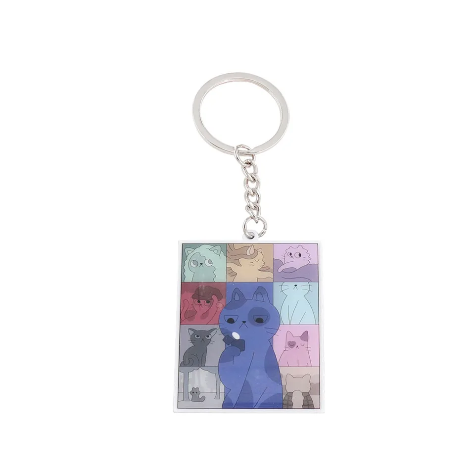 Plagát Cat the Eras Tour Keyring Music Singer Inspiration Keychain Fanúšikovia prívesok