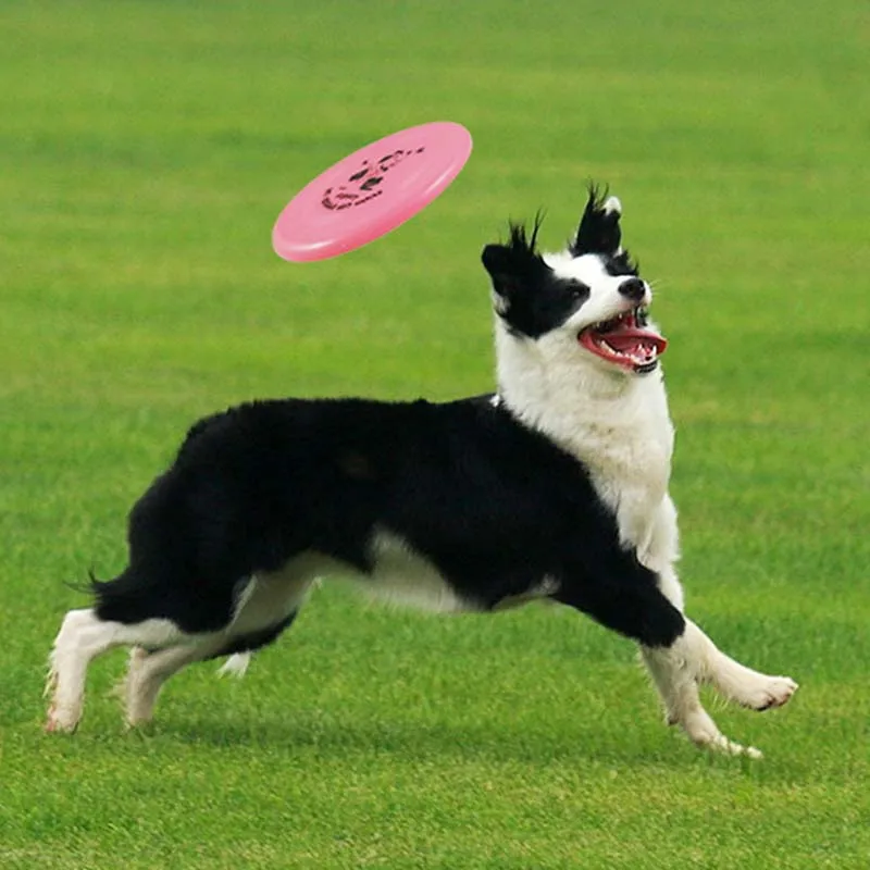 Plastová lietajúca podšálka pre psie hračky Pet Game Game Flying Discs Flying Disk odolný voči žuvaniu vtipné šteniatko školiace hračky interaktívne náradie