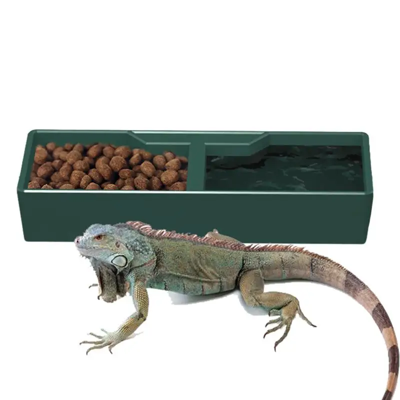 Platiková misa 2 priehradky Tmavo zelené plazové vodné misky Terrárium misky plazov kŕmne kŕmne dekorácie pre jaštericu Frog Gecko