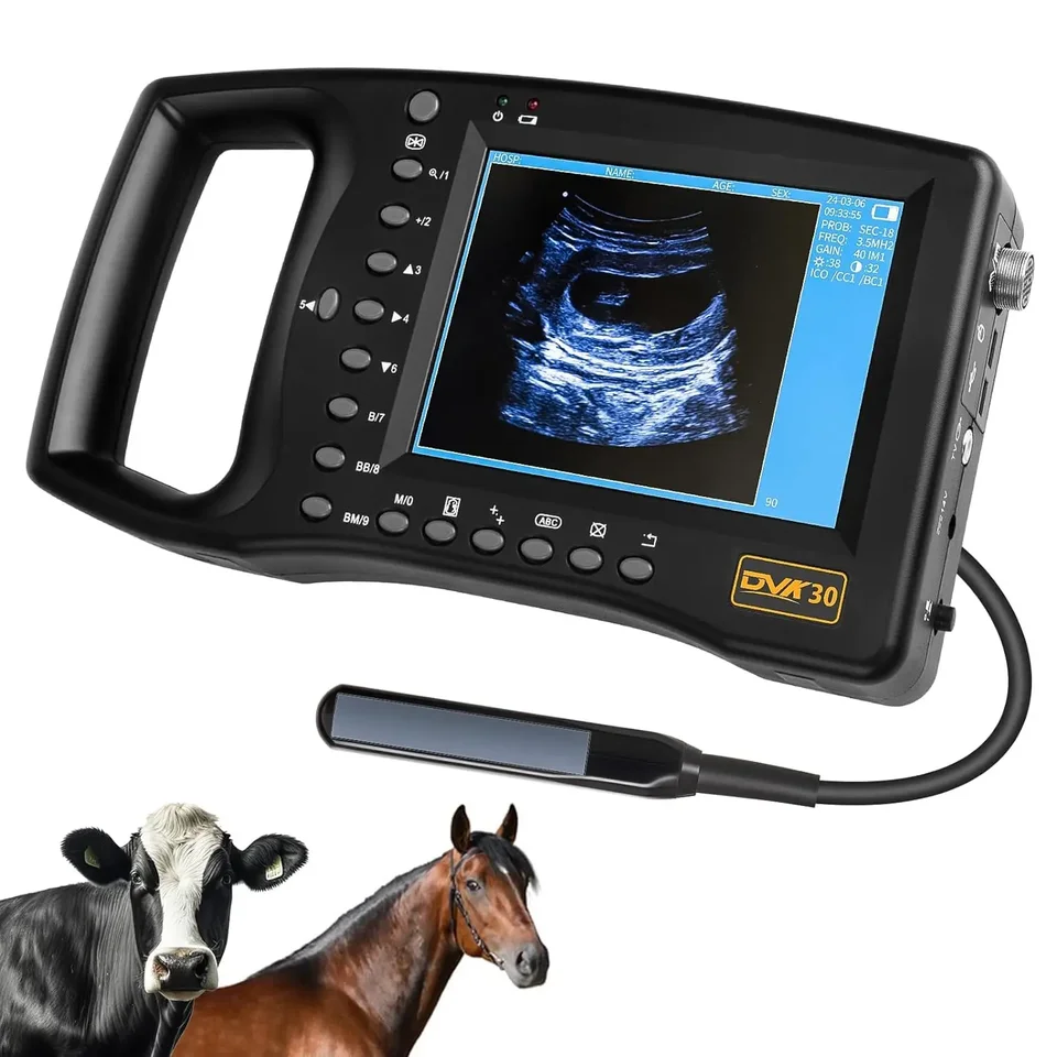 Prenosný veterinárny ultrazvukový skener pre tehotenstvo ovčie ošípané ošípané veterinárny ručný skener s mechanickou sondou 3,5 MHz