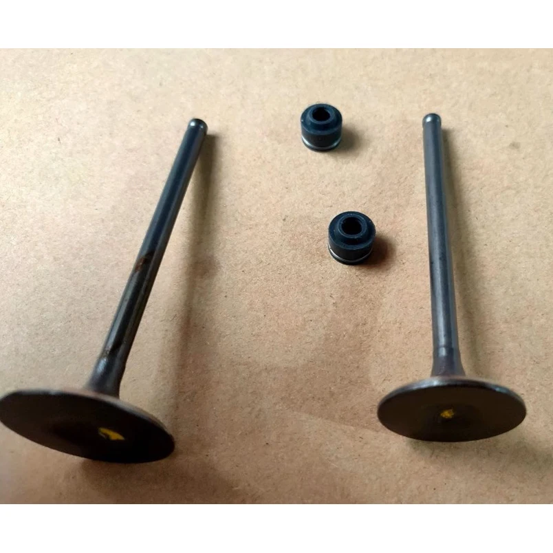 Príjem súpravy motocyklového ventilu 2pcs + Exhause 2pcs + tesnenia ventilov 4ks pre Benelli Tnt150 TNT150i TNT 150 150i karburátor EFI