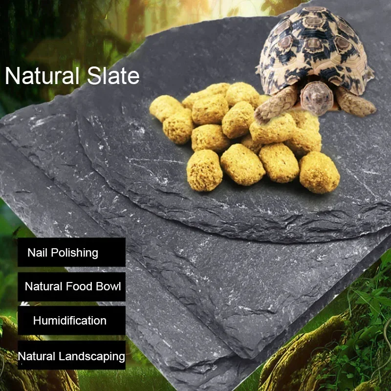 Prírodné bridlice Akvárium domáceho maznáčika Krmíka podávača povodia Potravina Food Pot Reptile Turtle Tortoise Scorpion Lizard Crabs Dodávky 10 cm