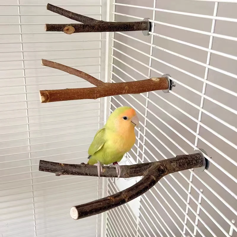 Prírodné drevo Pet papagáj Parrot surový drevený vidlicový strom stojan stojan na stojan veveričky vetva vetvy škrečkov