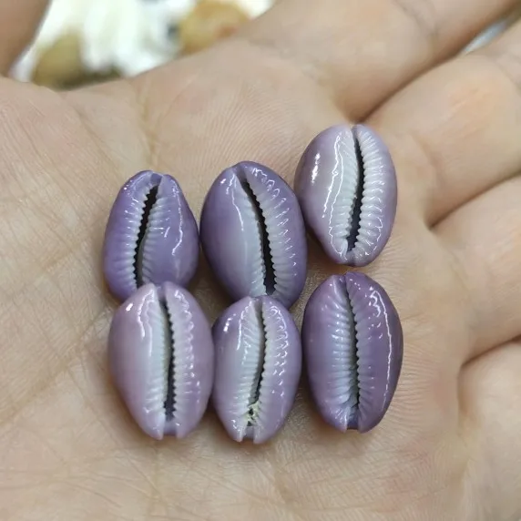 Prírodné fialové srdiečko Cowry Shell shell shell home dekorácie príslušenstvo akvárium dekorácie dekorácie remeslá