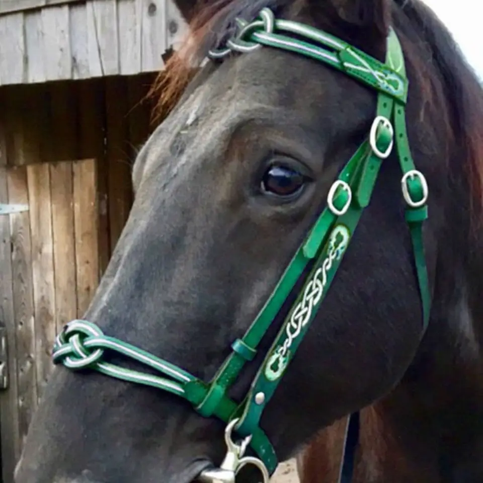 PU kožené kone Uzde Halters Pohodlné kovové spona na koni hlava chrániaca koňa nastaviteľná koňská golier