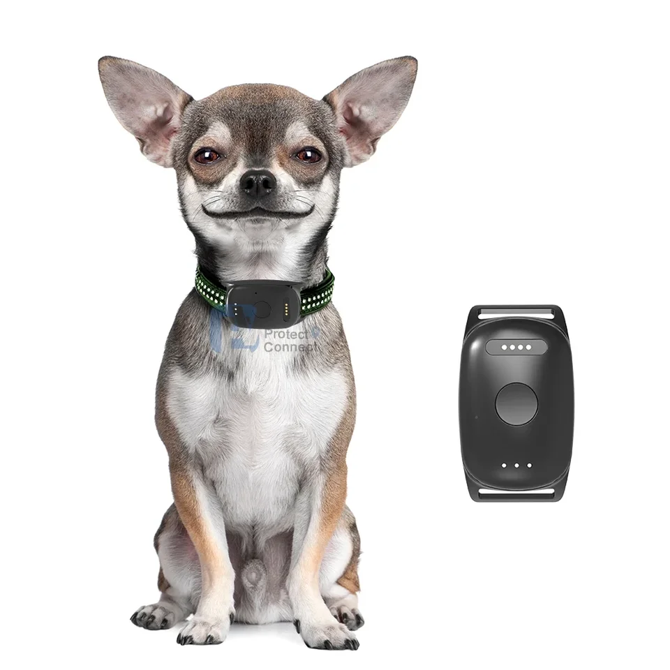 Píšťalka 3 psie mačka Monitor Monitor nepremokavého GPS Tracker Training Golier