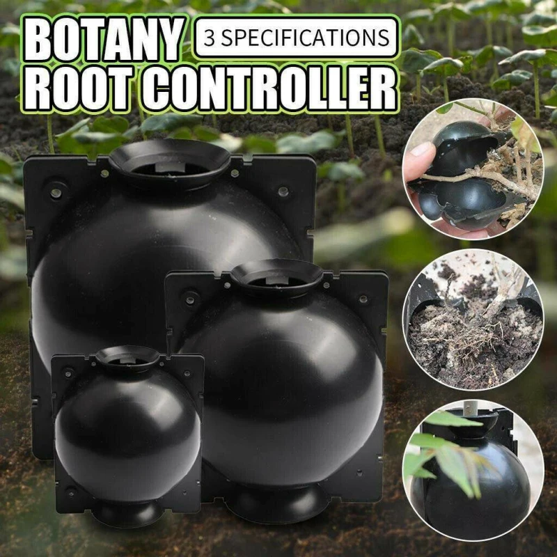 Rastlina zakorenenie guľôčky štepenie zakoreneného boxu Chov pase Pase Root Roat Box pre záhradu 5/8 cm v priemere Výsadba Nástroje