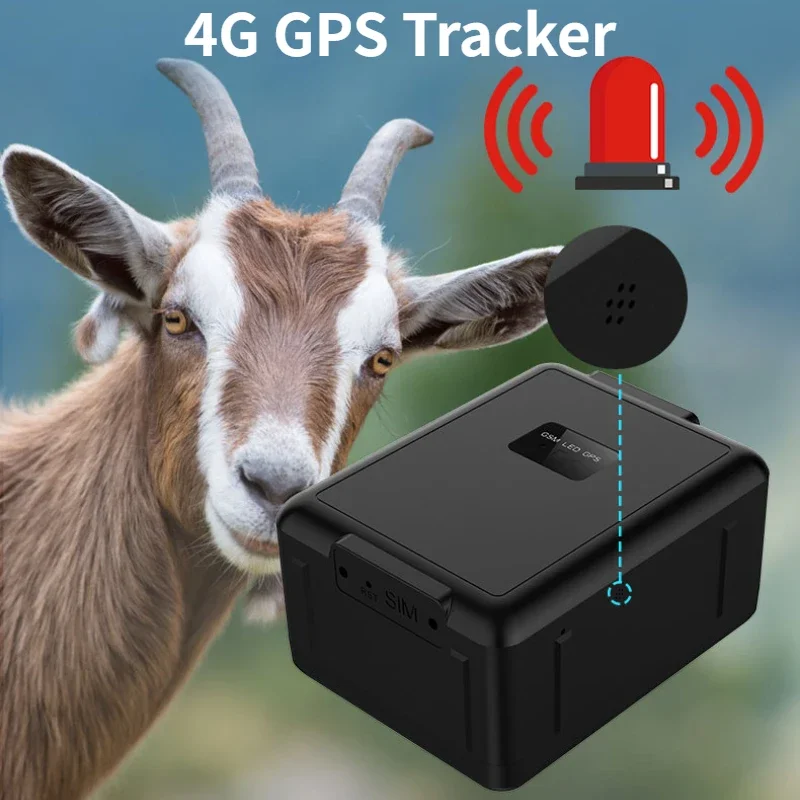 RF-V55 4G GPS Tracker 4G LTE/3G WCDMA/2G GSM Networks WIFI 30000MAH BATÉRA SOS Alarm ovčie kravy kravy CATTLE Vodotesný koň