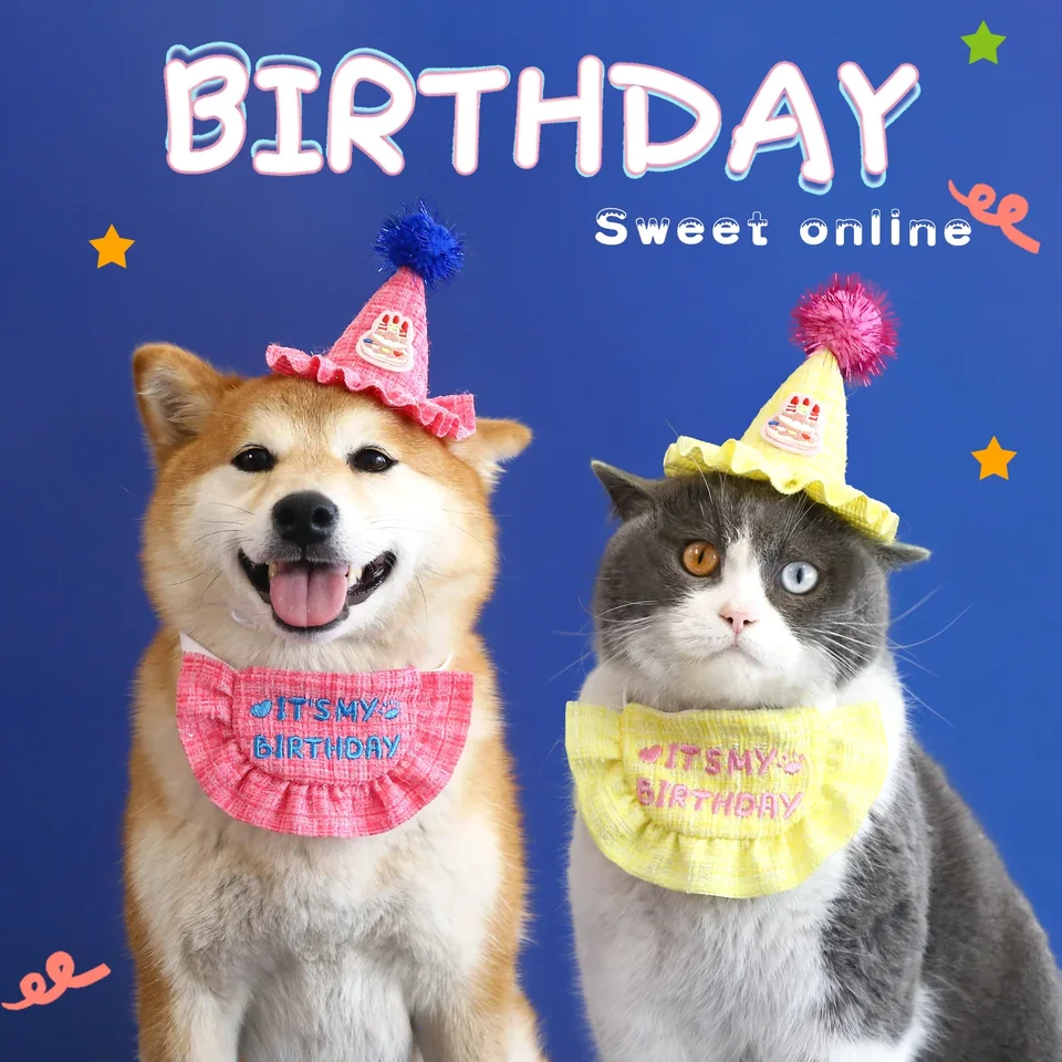 Rozkošný psí mačka šteňa narodeniny klobúk a bandana set cat Brib Pupky Pet Pet Narodeninové zásoby