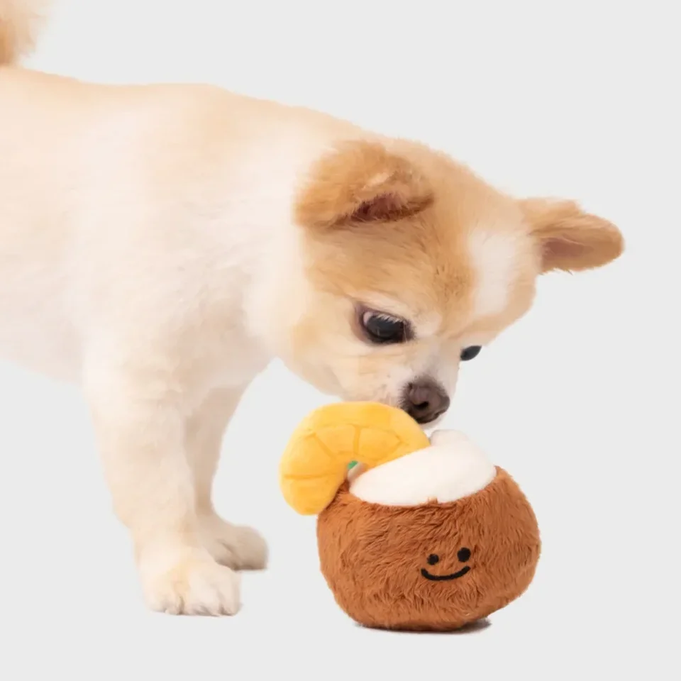 Roztomilé kokosové hračky Zvuk s pomalým jedlom plyšové domáce zvieratá zábava pre psie puzzle pomalé jedlo mačka a psie hračky psie psie doplnky