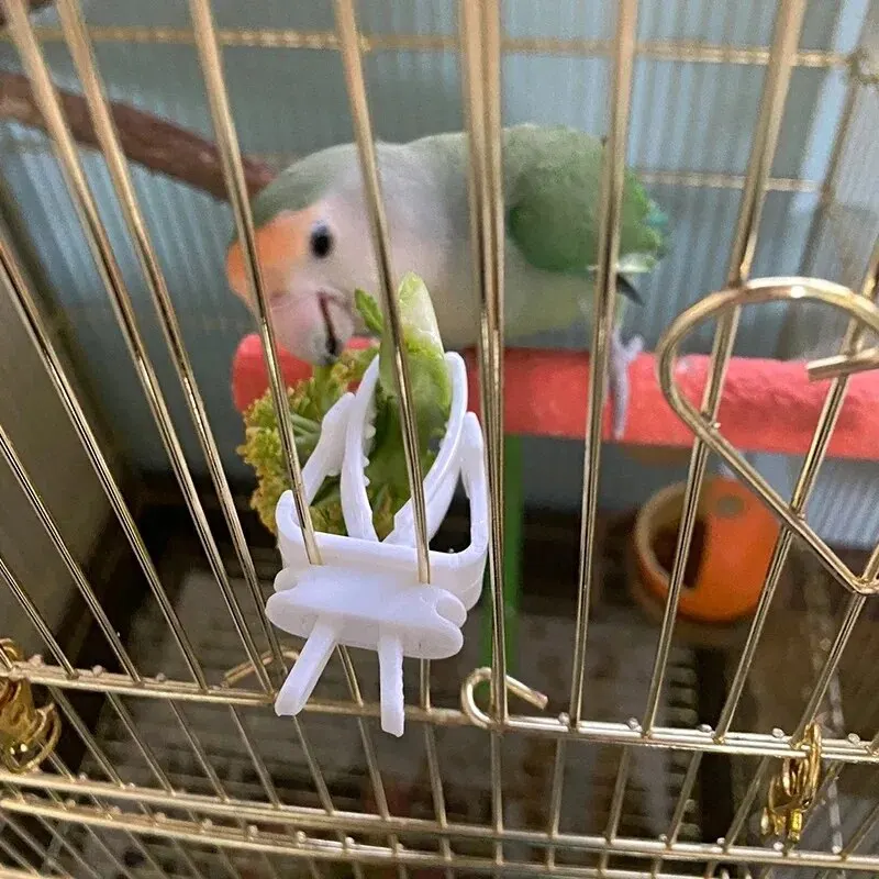 Roztomilý držiak na držiak na jedlo pre domáce zvieratá papagáj Parrot ovocie zelenina klip sépový kosť podávača zariadenia Clamp Bird Cage príslušenstvo oiseaux