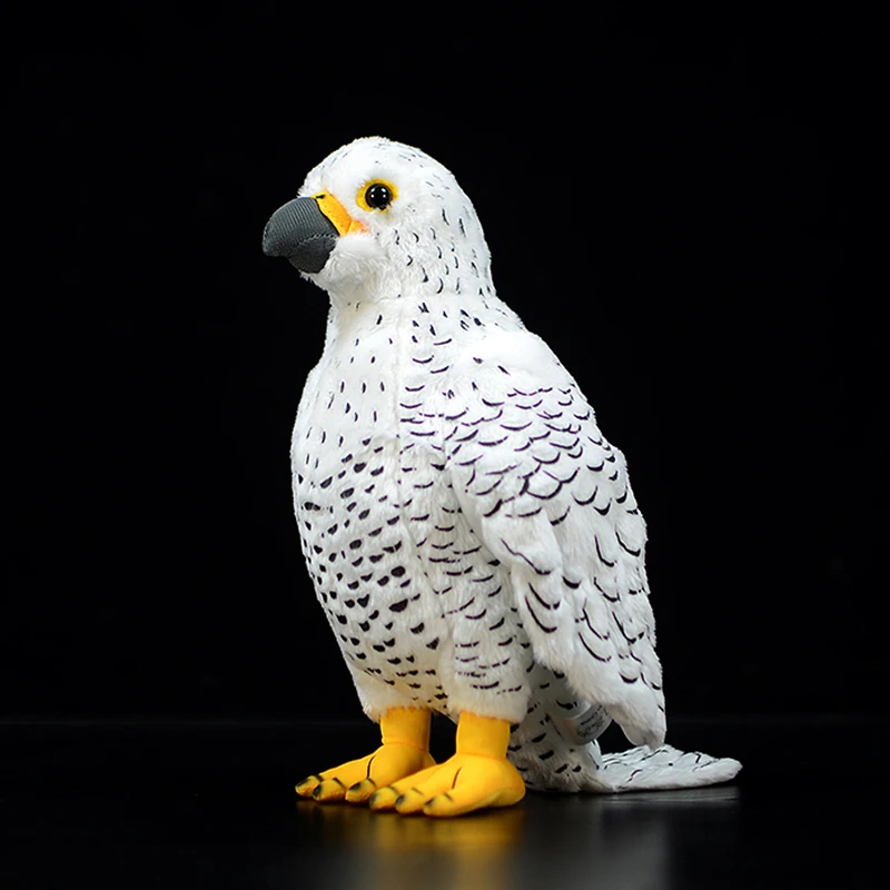 Roztomilý gyrfalcon plnený plyšový hračkou falco rusticikolus vták simulácia simulácia mäkká bábika rozkošná jongkhurun ​​realistické zvieracie deti detské darček