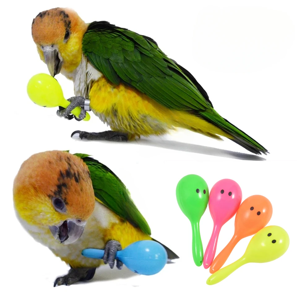 Roztomilý papagáj na pieskové piesok piesok piesok guľôčkový vták Bites múdrosť interaktívne školiace hračky Pet Pet Parrot Parrot Bird hrkálka hračky