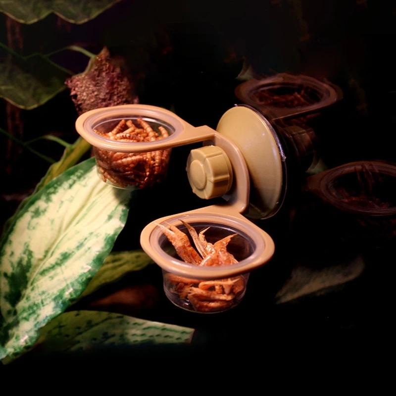Sacie poháre FROG Feeder Reptola kŕmenie potravinovej misky Escape Proof Worm Dish Gecko Feeder Bowl