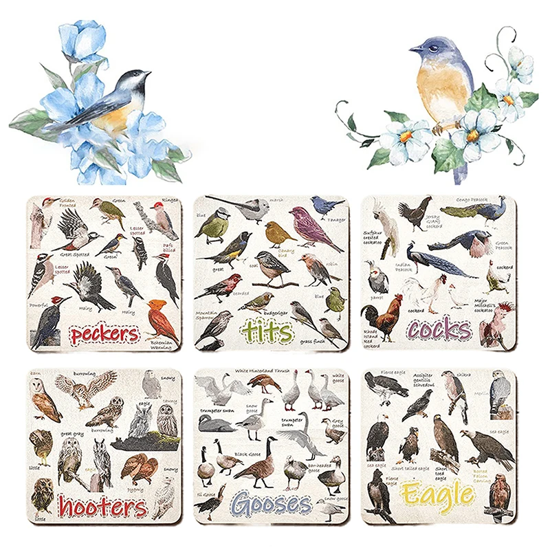 Sada 6 Coasters Bird Pun Coasters, Bird Pun Coasters for Drinks, štvorcová dráha pre šálky Domov Funny Coasters nastavené pre milovníka vtákov