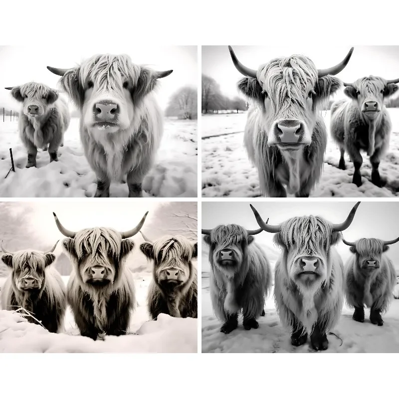 Scottish Bull Highland Cow 5D DIY Plné vŕtačky Diamond Painting Animal Cattle White Black Art Cross Stitch Vyšívacie kamene
