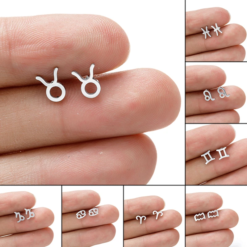 Shuangshuo 12 Constellation náušnice zverokruh značka symbol Stud náušnice narodeniny šperky dievčatá pre ženy
