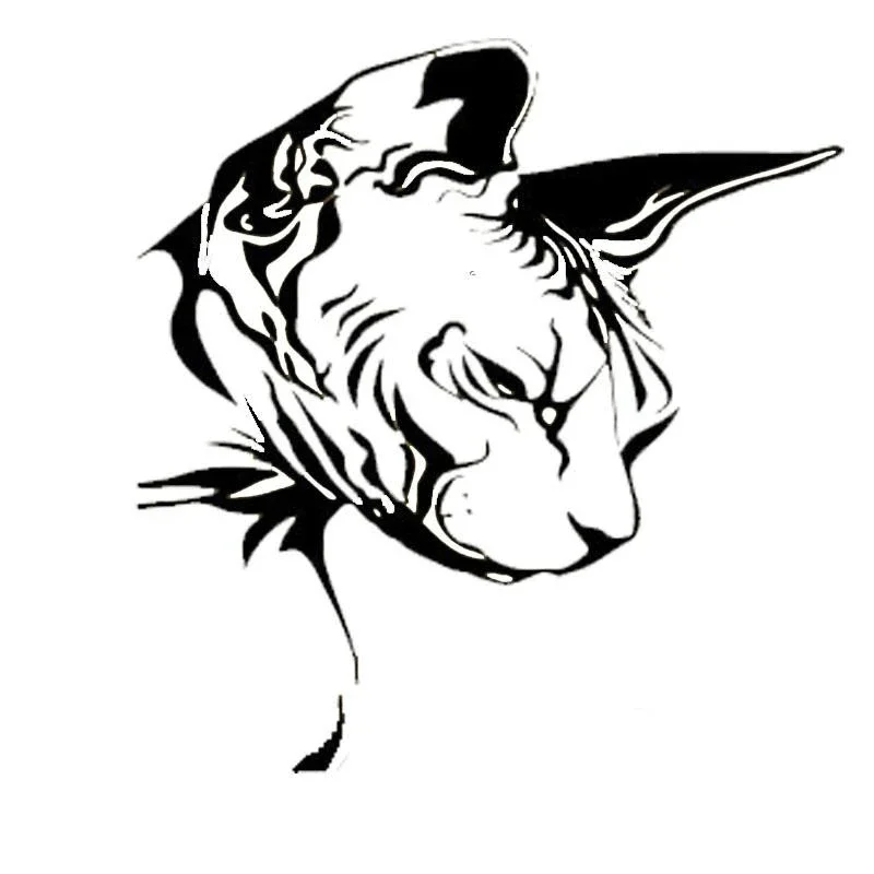 Sphynx Cat Animal Sticker Personalizovaná opaľovacia krémová nálepka Motocykle Motocykle automatické príslušenstvo Dekorácia PVC, 16 cm*15 cm