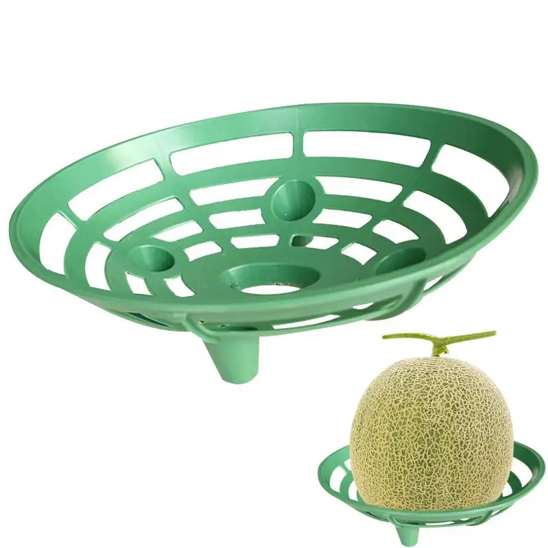 Strawberry podporuje bobule rastúce rámové rastliny podporujúce moduno
