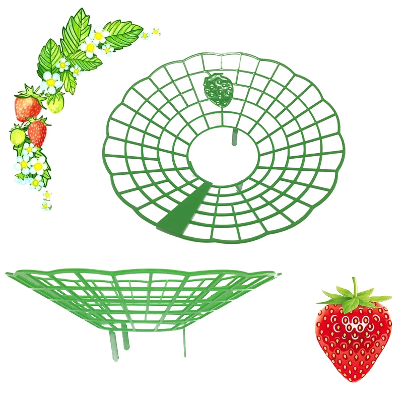 Strawberry Suppors Stand Start Strawberry Rastle Supports Supports klietky horolezectvo slawberry ráme