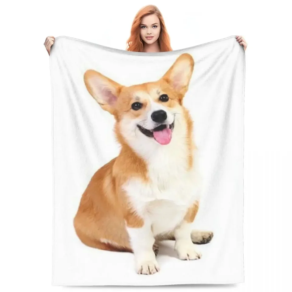 Super teplá prikrývka cestovná kancelária Corgi Hodno