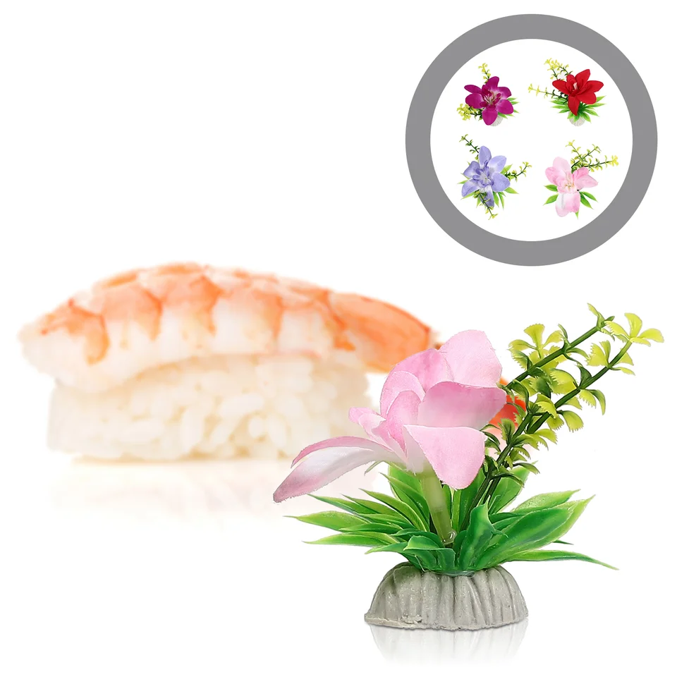 Sushi dekorácie kvetina živé sukulenty rastliny zdobenie sashimi tanier kvety umelé ozdoby